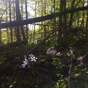 Meet your Posher, Jane